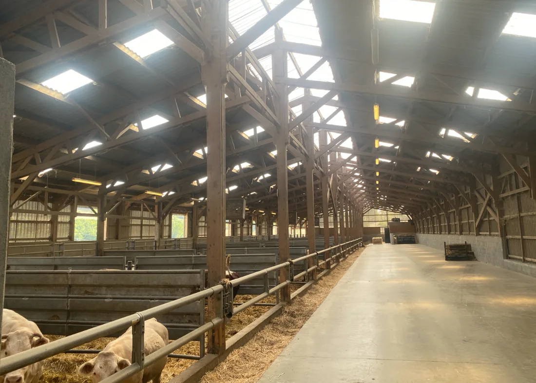 Avant : chantier 42114, ancien éclairage