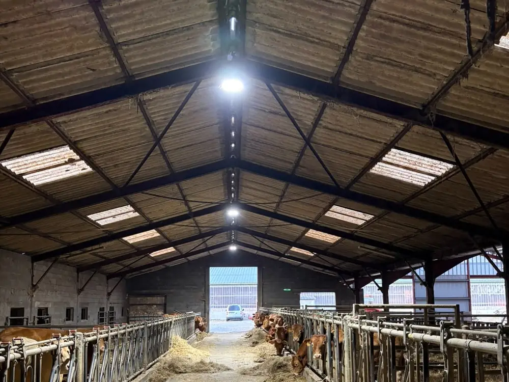 Après : chantier 87800, éclairé par des cloches LED Solhy