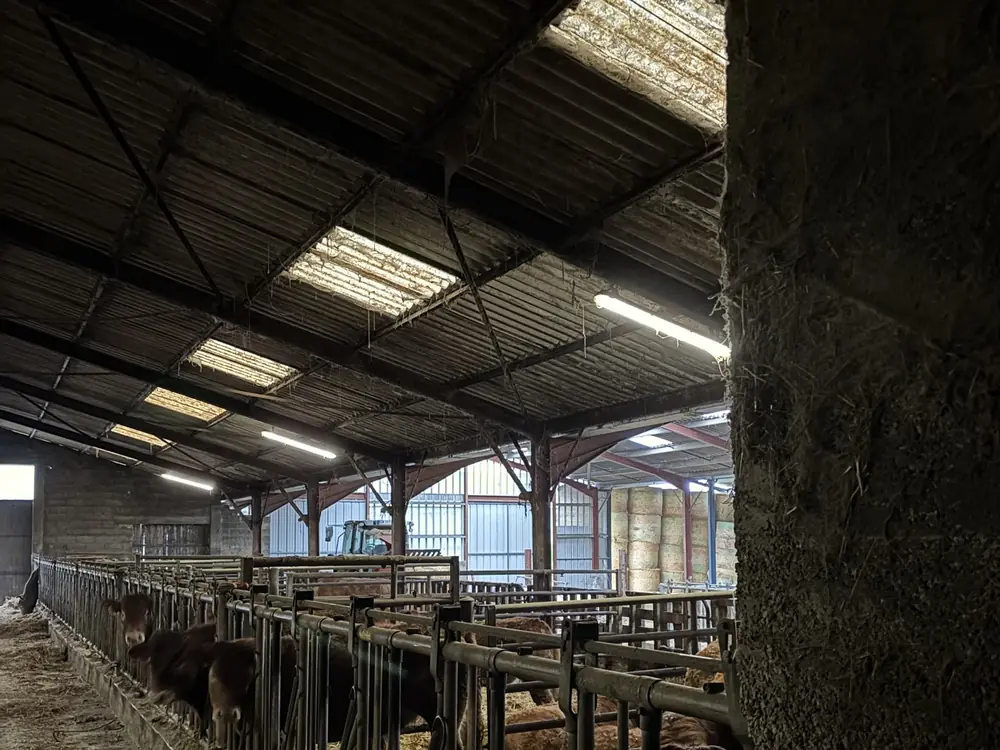 Avant : chantier 87800, ancien éclairage